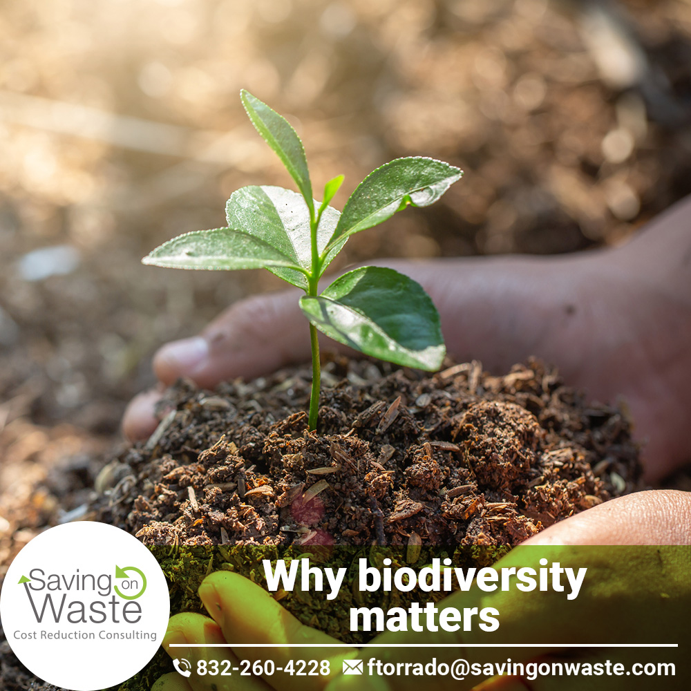 25 Why biodiversity matters