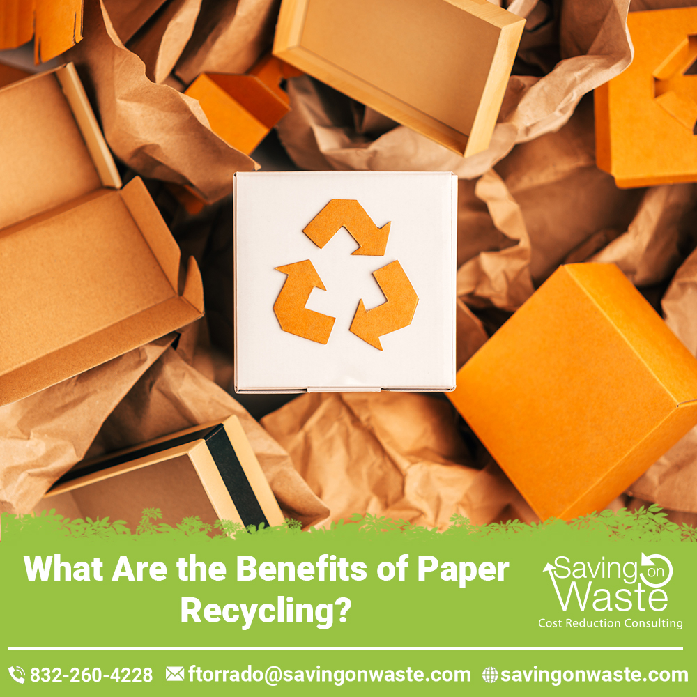 17 What Are the Benefits of Paper Recycling